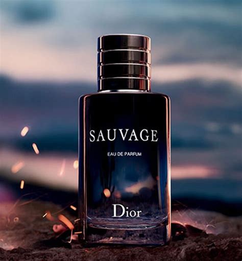 sauvage dior feromonas|sauvage fragrance.